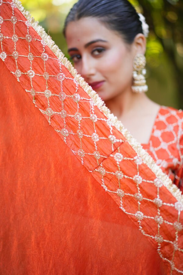 IMG_0152 Rust Orange Lehenga Choli with Geometric Embroidered Dupatta | Designer Ethnic Wear for Women – Marudhaga
